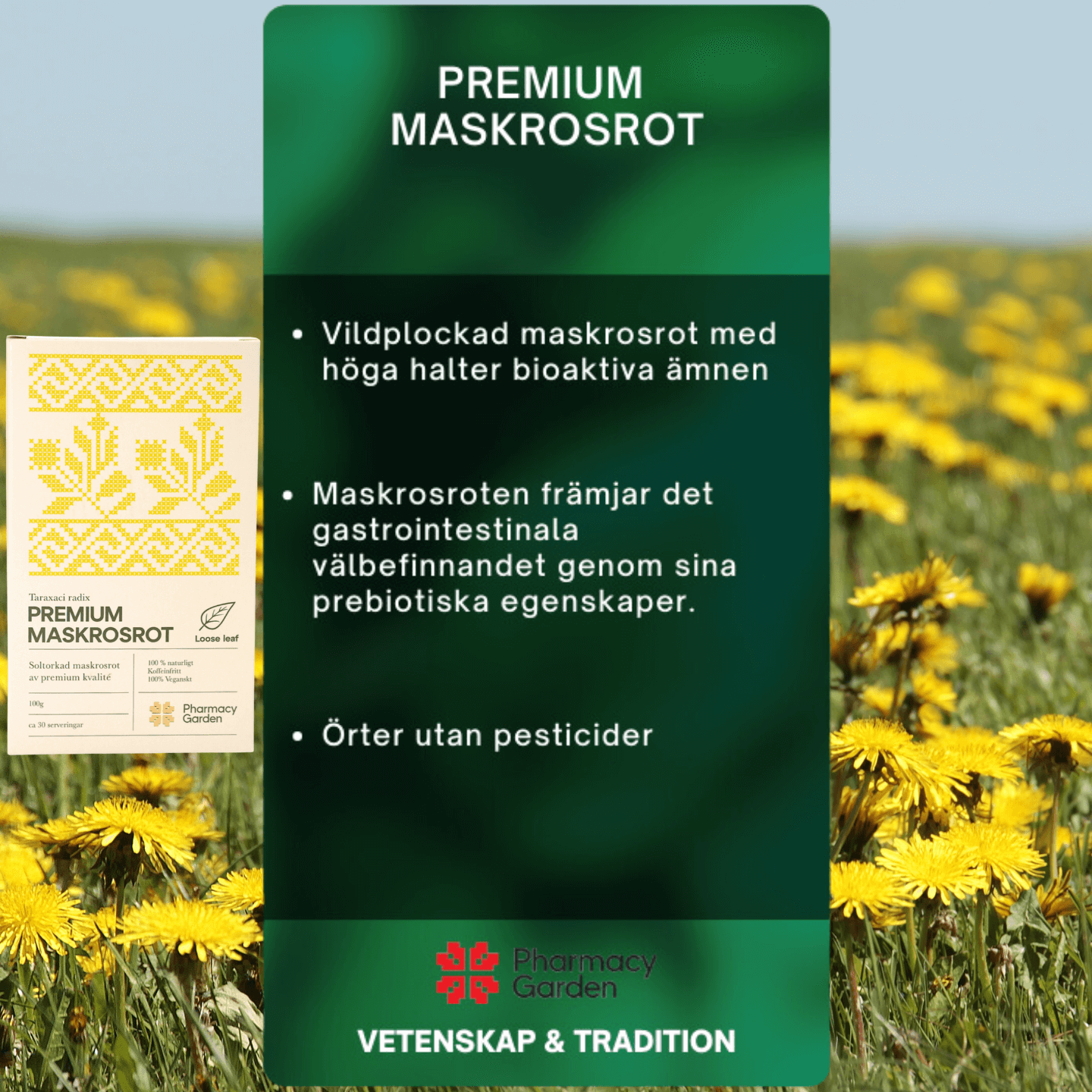 Premium Maskrosrot