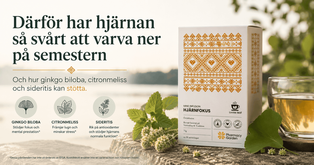 Därför har hjärnan så svårt att varva ner på semestern – och hur du kan hjälpa den på vägen