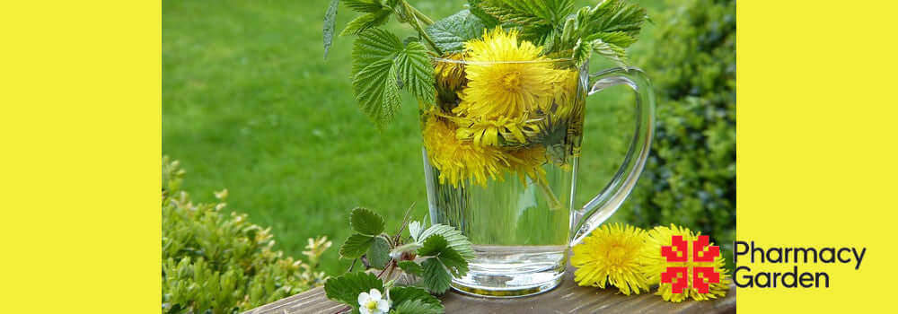 Vad är Detox och vad händer i kroppen?