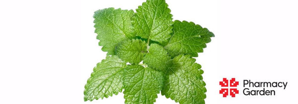 What is lemon balm good for?