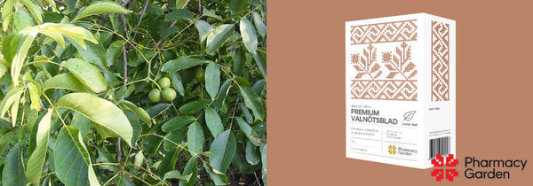 What is walnut leaf (Juglandis folium) used for?