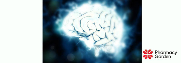 Increased blood flow is the key to a healthy brain