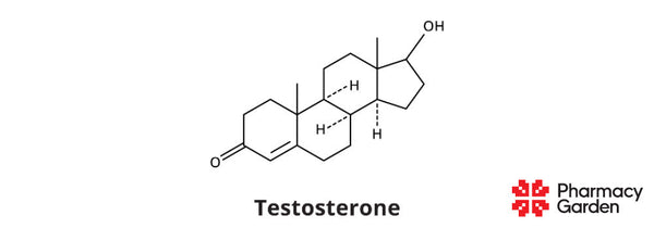 Testo, lön och status? Kan örter stödja din naturliga balans?