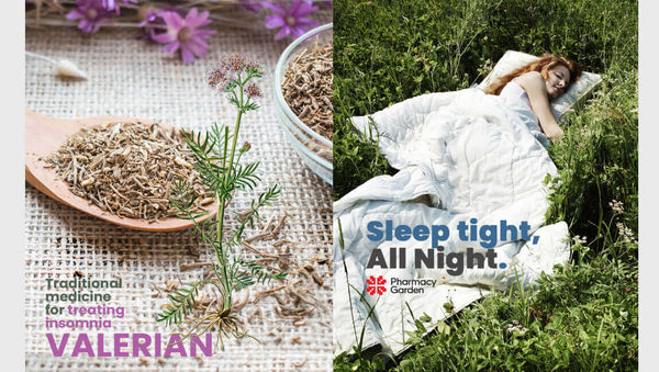 Valeriana Officinalis – Den rogivande örten som får dig att sova genom hela natten