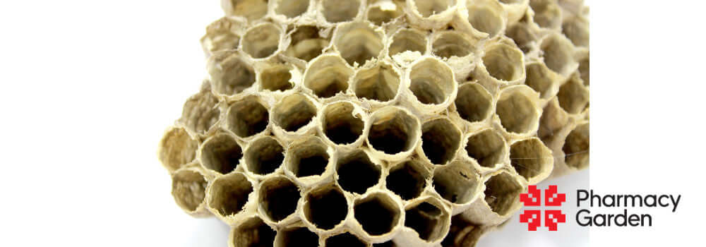 Vad är propolis bra för?