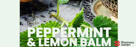 Pepparmynta