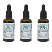 Body Supplement - Uthållighet & Lust (3 pack)