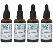 Body Supplement - Uthållighet & Lust (4 pack)