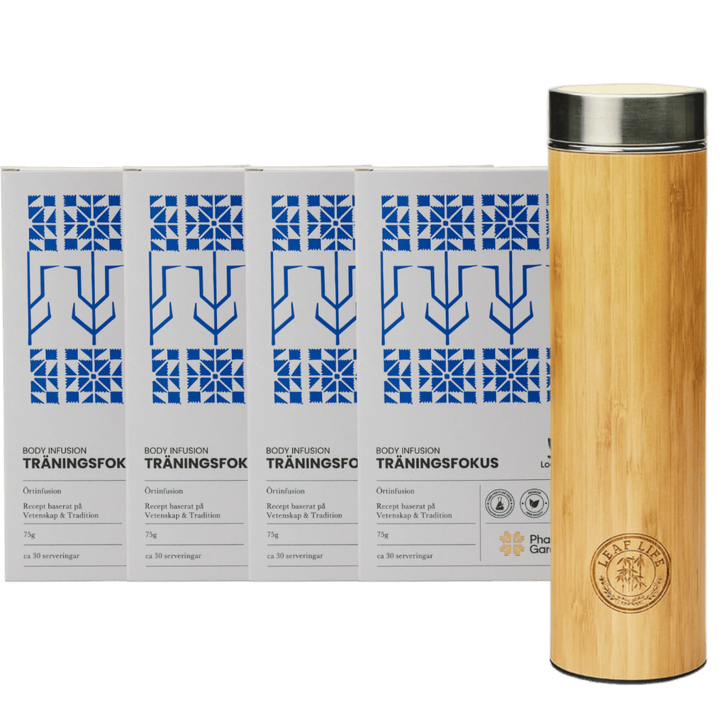 Treenifokus 4v - Bambutermos