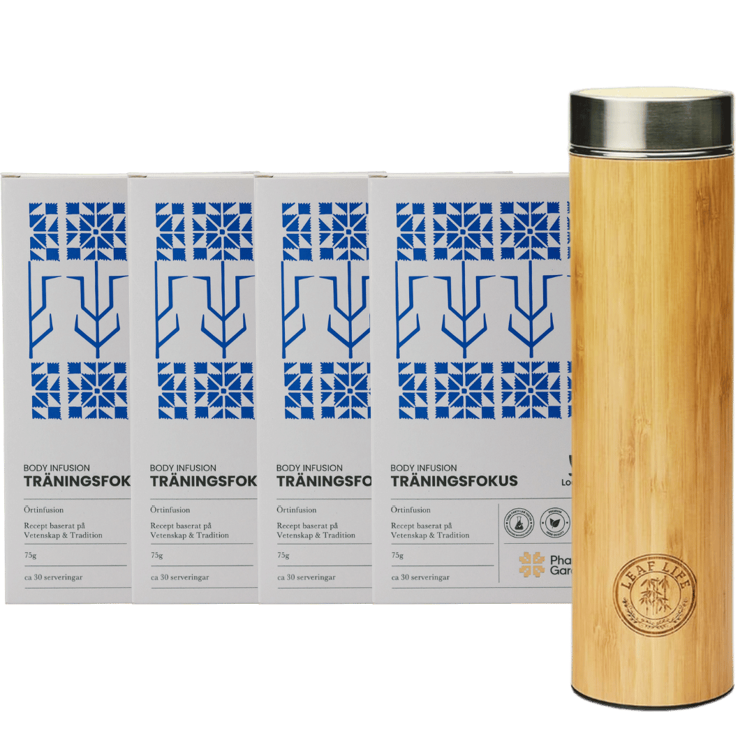 Treenifokus 4v - Bambutermos