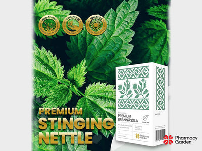Premium Stinging Nettle Herbal Tea (Urticae folium)