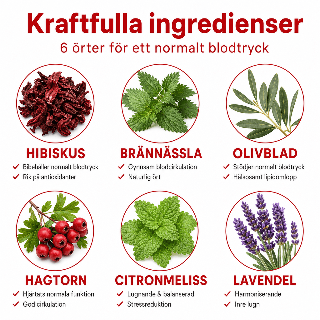 Fokus på blodtryck