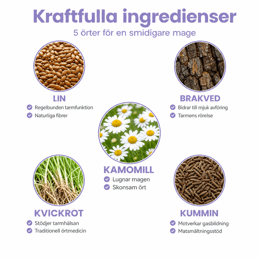 Trög mage rutin med kopp - 2v