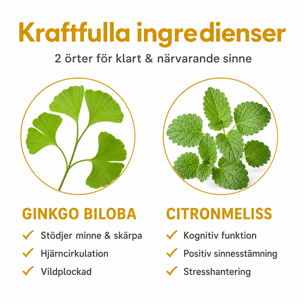 Hjärnfokus