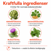 Kolesterolfokus