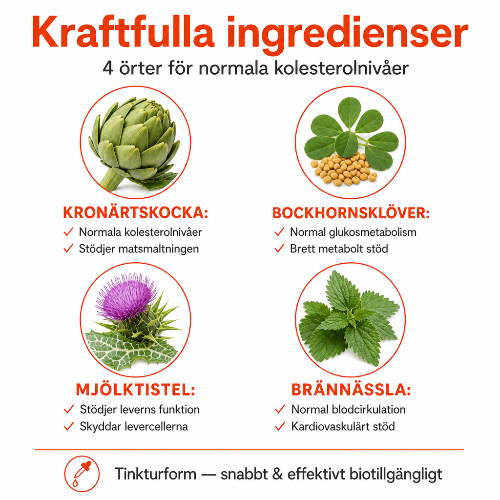 Kolesterolfokus