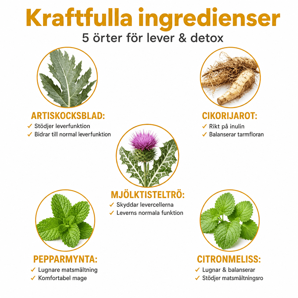 Maksa- ja detoxtuotteet