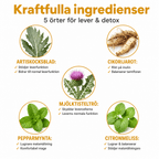 Maksa- ja detoxtuotteet