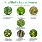 Fokus löysään vatsaan