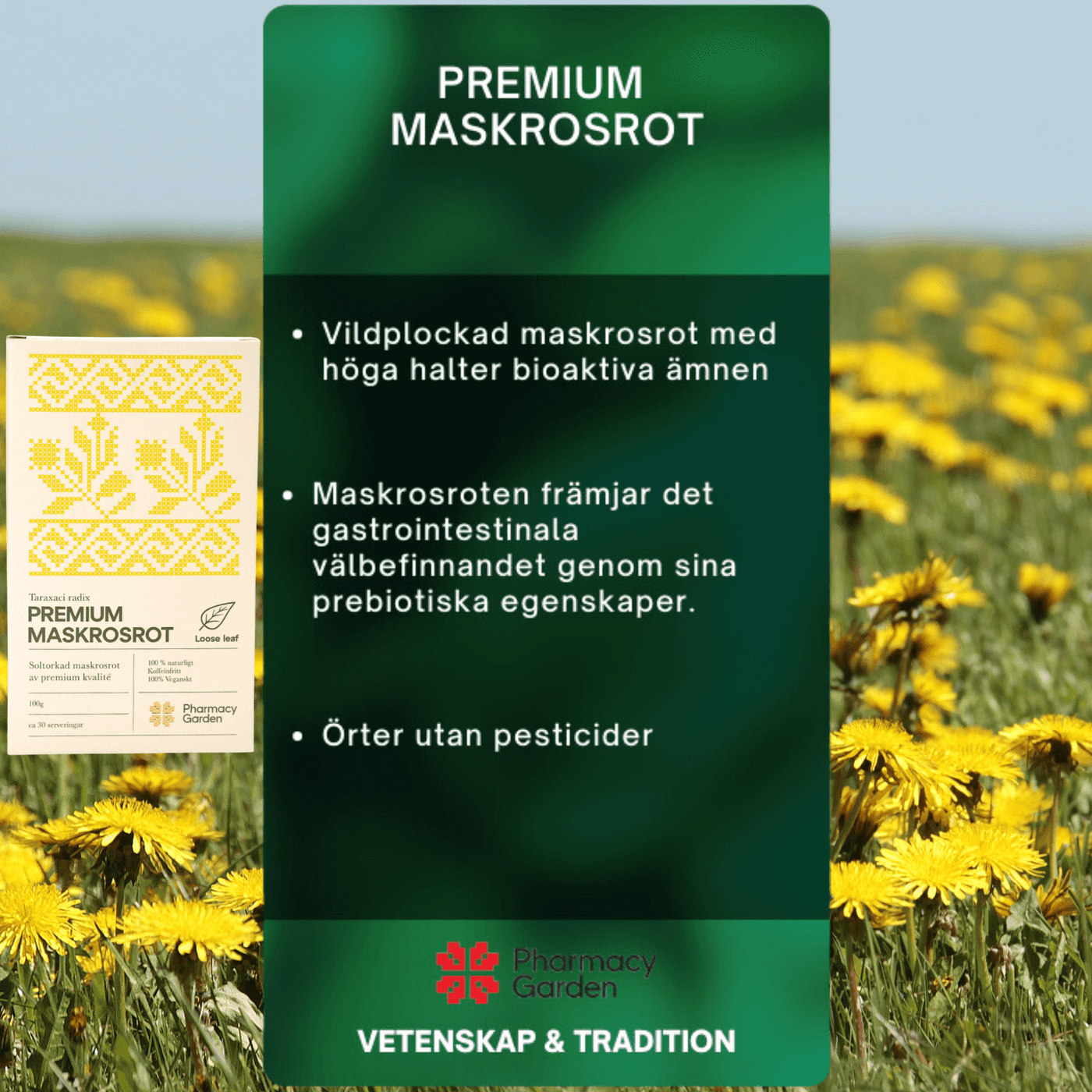 Premium Maskrosrot - Örtinfusion