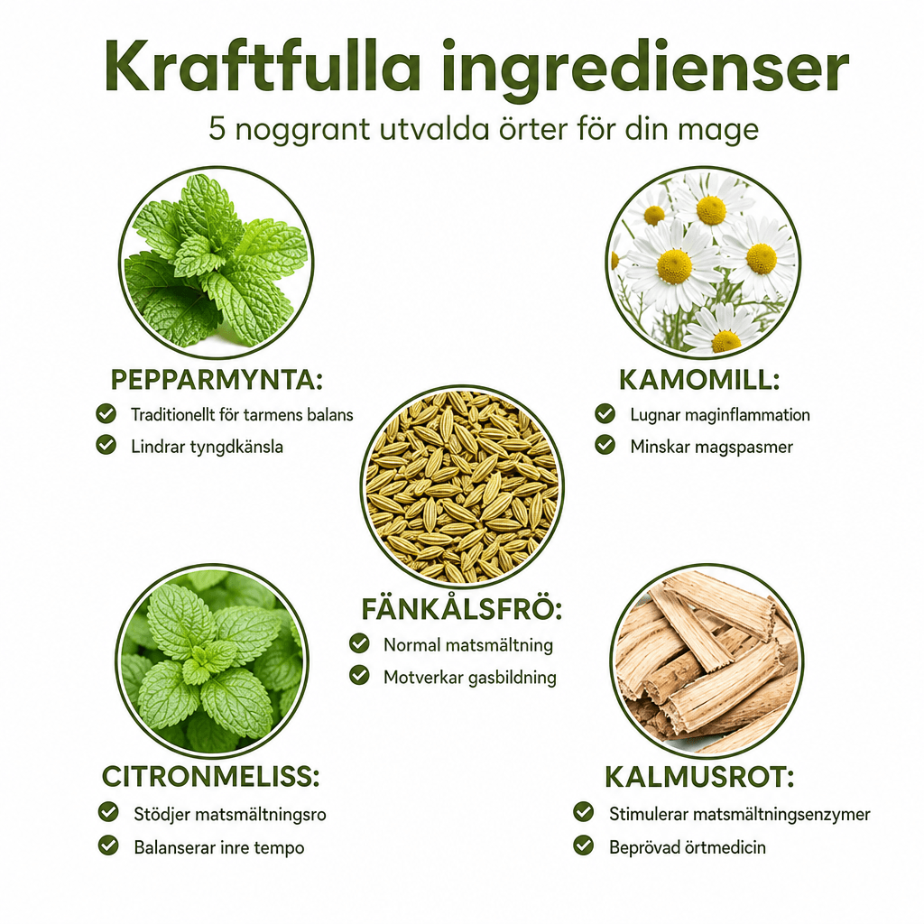 Matsmältningsrutin