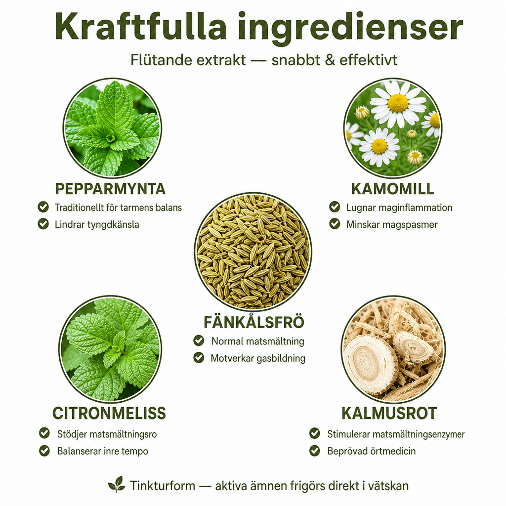 Ruansulatusfokus