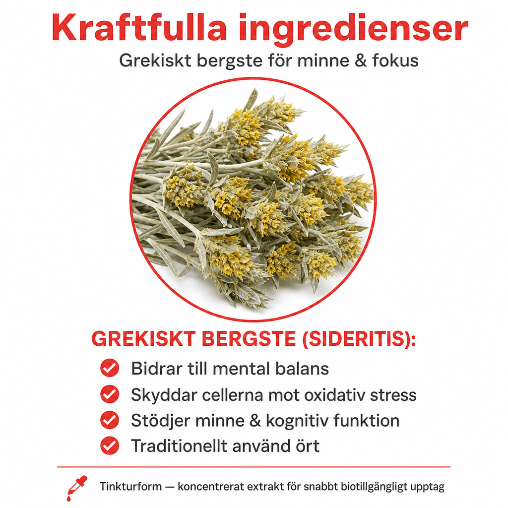 Minnesfokus