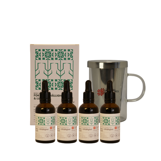 Körperergänzung - Ausdauer & Lust (4 Pack)
