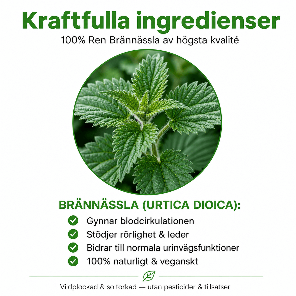 Premium-nokkonen