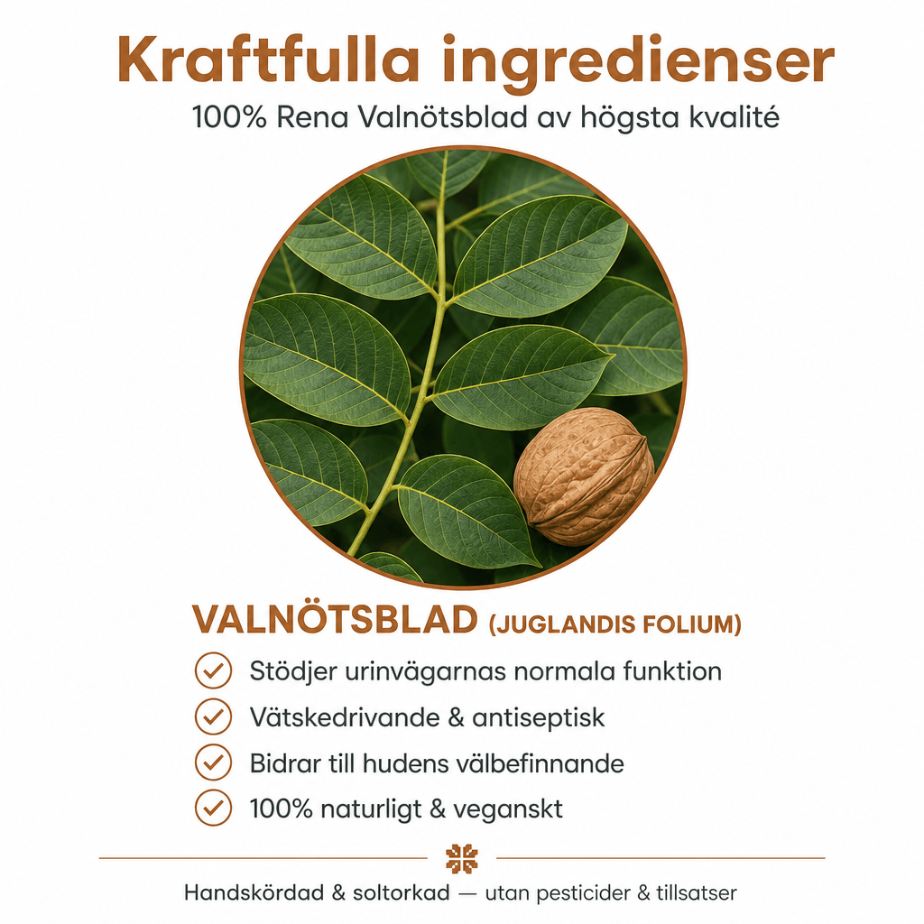 Premium Valnötsblad