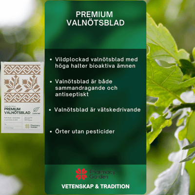 Premium Valnötsblad - Örtinfusion