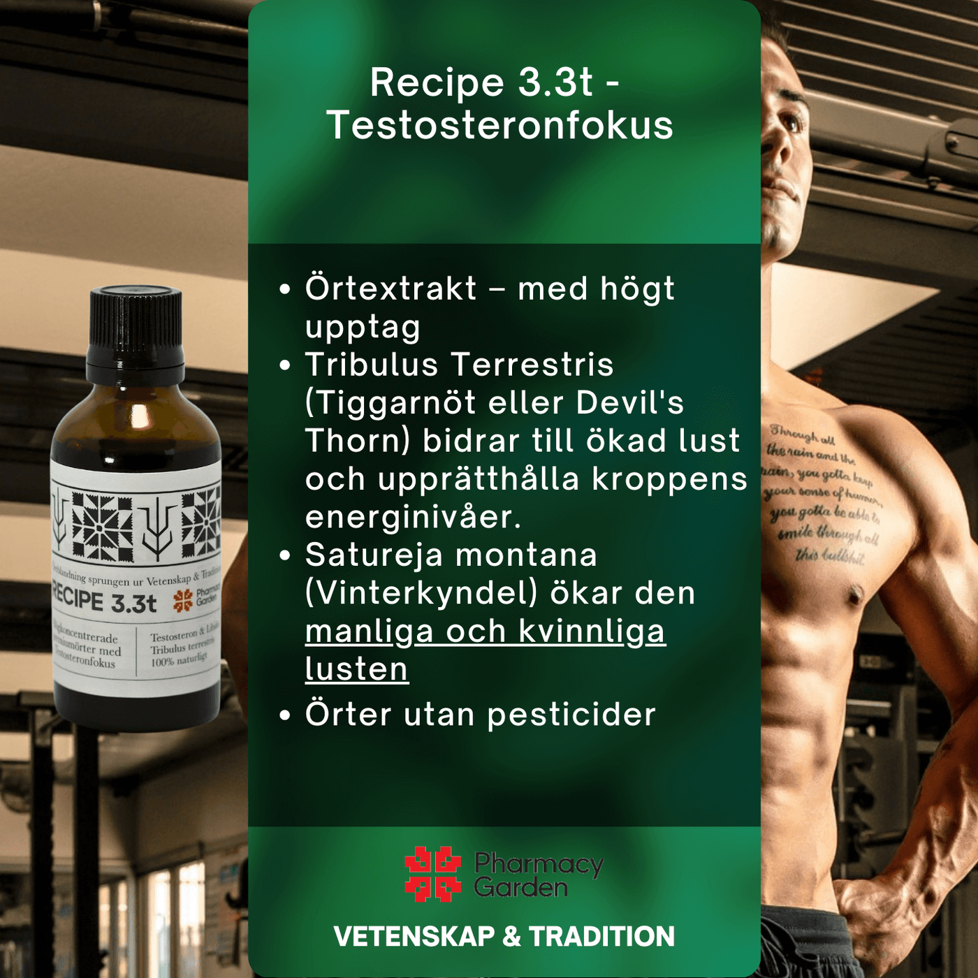 Recipe 3.3t - Testofokus