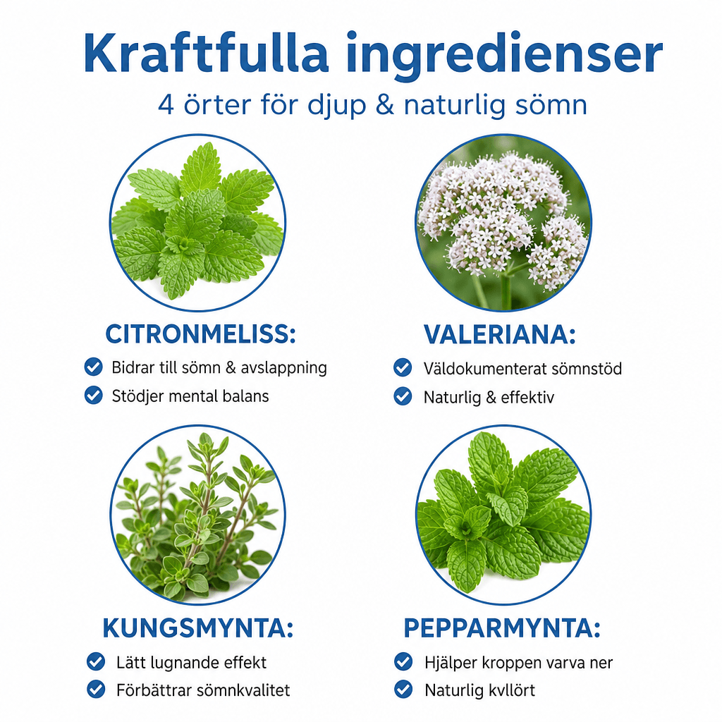 Sömnfokus