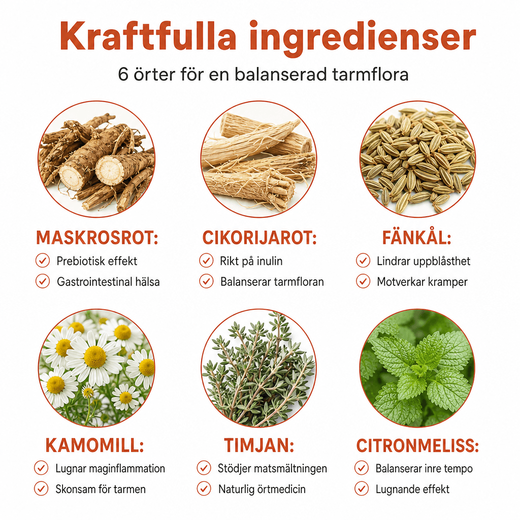 Matsmältningsrutin