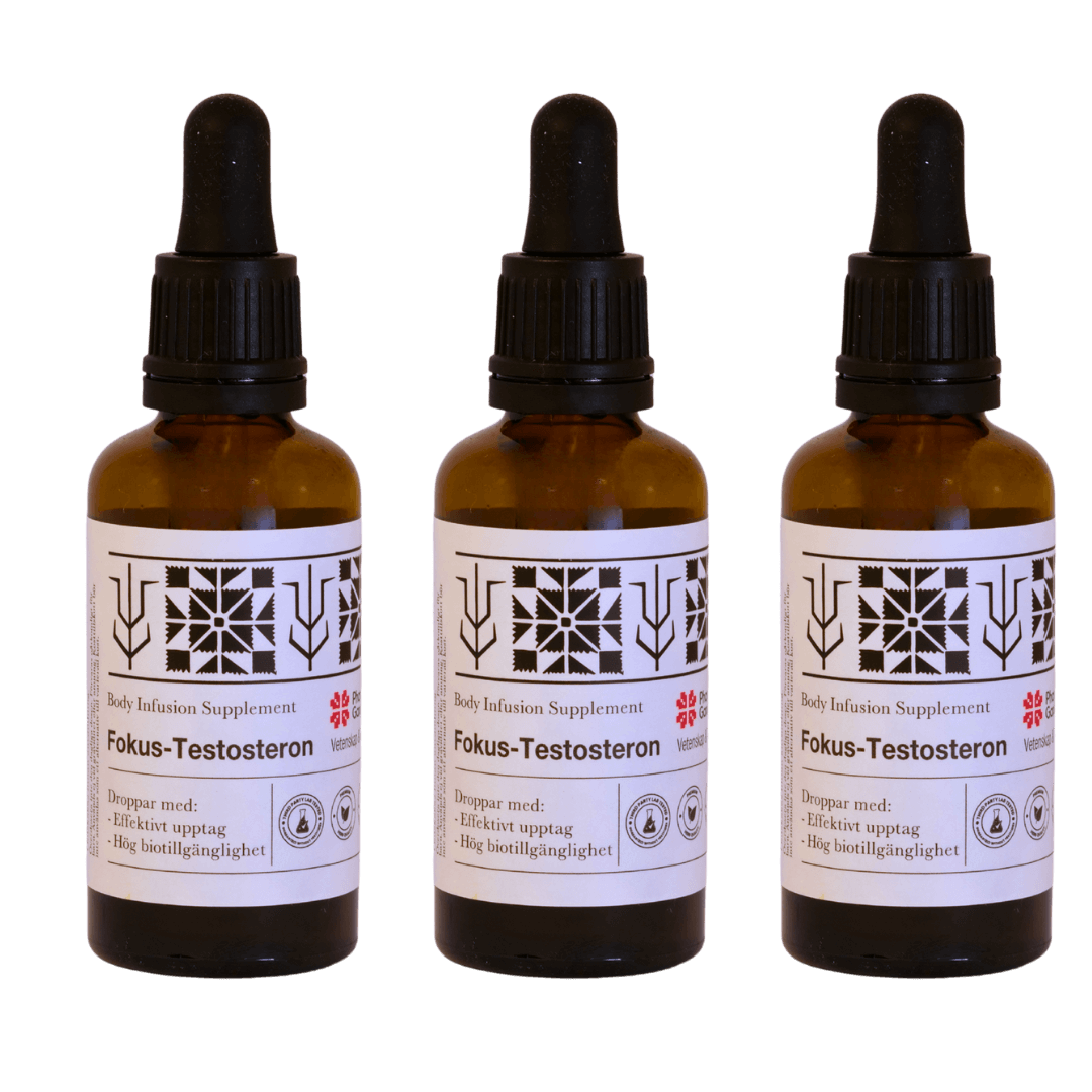 Body Supplement - Testofokus (3 pack)