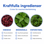 Träningsfokus 4v - Termos